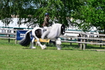 SBM_19366