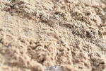 231013A-105240-01406