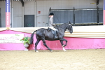 SBM_02193