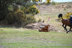 WJ6_0096