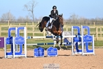 Foxhunter and 1.20m Open portfolio