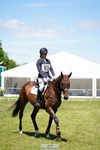 169-Elise_Cadman-GIRANDOLE portfolio