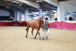 SBM_00453