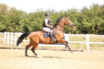 SBM_000480