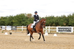 SBM_006424