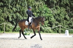 119-AUTOGRAF-Simon_Grieve-WEDTrotUp+DR portfolio