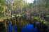 Nõva Recreation and Landscape Protection Area, Estonia