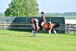 SBM_11625