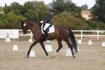 SBM_022009