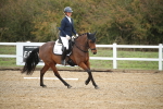 SBM_001589