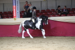 SBM_02859
