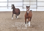 JAC_6162