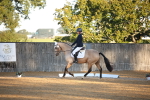 SBM_14542