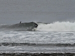 DSC_9070
