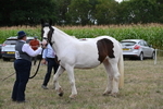 WJ6_5555