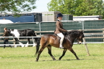 SBM_06808