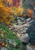 Awash in Autumn