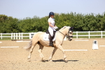SBM_009071