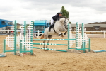 SBM_001950