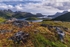 Mossy Plateau