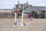 CLASS 4 STX-UK Pony BritiNovice / 0.80m Open portfolio