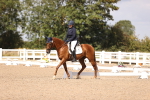 SBM_03667