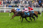 190523-Race 3-Marhaba The Champ-7758