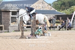 BPP_3163