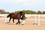 SBM_17994