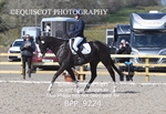 BPP_9224