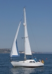 090602 FINN KING IMG_8227