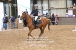 BPP_5664