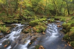 The River Meavy