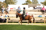 SBM_50043