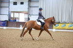 SBM_000966