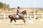 SBM_017373