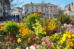 Summer in Teignmouth