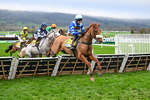 151125-Race 1-One Horse Town-2058