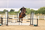 SBM_025739
