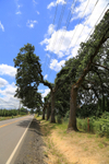 Meridian Road, Norwood, Oregon
