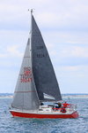 170701 RED FOX GBR3924T RTI_3838 1