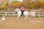 SBM_001779