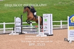 BPP_3533
