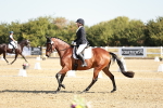 SBM_016913