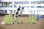 SBM_001855