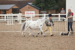 SBM_08432