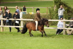 SBM_71520