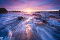 Sunstar Surge