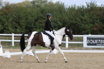 SBM_001402