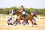 SBM_03835